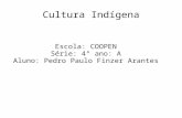 Cultura Indígena Escola: COOPEN Série: 4° ano: A Aluno: Pedro Paulo Finzer Arantes.