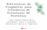 Bibliotecas de Fragmentos para Inferência de Estruturas de Proteínas Tiago Edmundo Ribeiro Brito Orientadora: Katia S. Guimarães Mestrado em Ciência da.