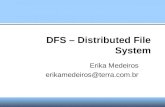 DFS – Distributed File System Erika Medeiros erikamedeiros@terra.com.br.