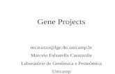 Gene Projects mcarazzo@lge.ibi.unicamp.br Marcelo Falsarella Carazzolle Laboratório de Genômica e Proteômica Unicamp.