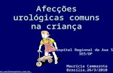 Afecções urológicas comuns na criança Maurícia Cammarota Brasília,26/3/2010 Hospital Regional da Asa Sul SES/DF .