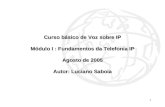 1 Curso básico de Voz sobre IP Módulo I : Fundamentos da Telefonia IP Agosto de 2005 Autor: Luciano Saboia.