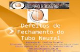 Defeitos de Fechamento do Tubo Neural Apresentação: Caroline Carvalho Orientador: Carlos Alberto Zaconeta/ Dra Ana Eunice Prado Escola Superior de Ciências.