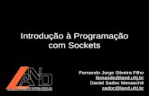 Introdução à Programação com Sockets Fernando Jorge Silveira Filho fernando@land.ufrj.br Daniel Sadoc Menasché sadoc@land.ufrj.br.