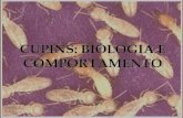 Biologia dos cupins  Cupins – Ordem Isoptera - Isoptera: asas semelhantes; -De 2300 a 2900 sp descritas, 4 famílias; -Amplamente distribuídos; -Insetos.