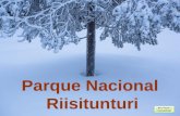 Parque Nacional Riisitunturi O Parque Nacional Riisitunturi é um parque nacional localizado em Posio, na Lapônia Finlandesa. Ele foi criado em 1982 e.