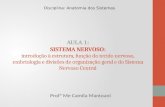 AULA 1: SISTEMA NERVOSO: introdução à estrutura, função do tecido nervoso, embriologia e divisões de organização geral e do Sistema Nervoso Central Profª