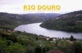 O rio Douro foi sempre um rio de difícil navegação devido ás regiões montanhosas que atravessa e ás variações de caudal nas diferentes estações do ano.