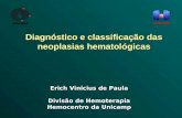 Diagnóstico e classificação das neoplasias hematológicas UNICAMP Erich Vinicius de Paula Divisão de Hemoterapia Hemocentro da Unicamp.