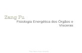 Fisiologia Energética dos Órgãos e Vísceras Prof. Paulo Cesar Varanda.