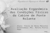 Avaliação Ergonômica das Condições Físicas da Cabine de Ponte Rolante Aluno: Flávio de Abreu Meireles Orientadora: MSc. Renata Pietra Papa.