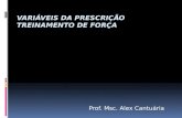 Prof. Msc. Alex Cantuária. VARIÁVEIS DE FÁCIL AJUSTE Aquecimento ; Peso; Repetições; Amplitude de movimento; Séries; Tipos de exercícios; Quantidade.