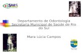Departamento de Odontologia Secretaria Municipal de Saúde de Rio do Sul Mara Lúcia Campos.