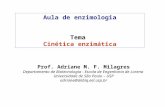 Aula de enzimologia Tema Cinética enzimática Prof. Adriane M. F. Milagres Departamento de Biotecnologia - Escola de Engenharia de Lorena Universidade de.