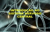 INTRODUÇÃO AO SISTEMA NERVOSO CENTRAL. Sistema Nervoso Central Sistema Nervoso Periférico Nervos Encéfalo Cérebro Cerebelo Tronco Encefálico Mesencéfalo.