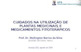 1 CUIDADOS NA UTILIZAÇÃO DE PLANTAS MEDICINAIS E MEDICAMENTOS FITOTERÁPICOS Prof. Dr. Wellington Barros da Silva (Dr.EC&T, M.C.Farm., Farm.) Aracajú (SE),