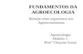 FUNDAMENTOS DA AGROECOLOGIA Relação entre organismos nos Agroecossistemas Agroecologia Módulo 1. Prof.ª Chayane Souza.