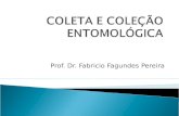 Prof. Dr. Fabricio Fagundes Pereira.  Coletar corretamente  Acondicionamento  Procedência  Consulta à um especialista Identificação.