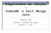 Algoritmos de Junção – IndexNL e Sort Merge Join AULA 19 Profa. Sandra de Amo GBC053 – BCC.
