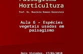Paisagismo - Horticultura Aula 6 – Espécies vegetais usadas em paisagismo Dois Vizinhos, 17/05/2010 Prof. Dr. Mauricio Romero Gorenstein.