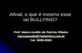 Afinal, o que é mesmo esse tal BULLYING? Prof. Marco Aurélio de Patrício Ribeiro marcoaurelio@7setembro.com.br Cel. 9998.6560.