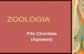 ZOOLOGIA Filo Chordata (Agnatos) SUBFILO VERTEBRATA (CICLOSTOMOS) Ostracodermes do Siluriano e Devoniano.