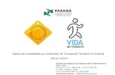 Dados de mortalidade por Acidentes de Transporte Terrestre no Paraná 2013 e 2014* Divisão de Vigilância das Doenças Não Transmissíveis – CEPI - SVS Rua.