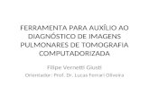 FERRAMENTA PARA AUXÍLIO AO DIAGNÓSTICO DE IMAGENS PULMONARES DE TOMOGRAFIA COMPUTADORIZADA Filipe Vernetti Giusti Orientador: Prof. Dr. Lucas Ferrari Oliveira.