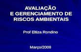 AVALIAÇÃO E GERENCIAMENTO DE RISCOS AMBIENTAIS Prof Eltiza Rondino Março/2009.