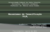Universidade Federal de Santa Catarina Disciplina: Materiais Cerâmicos Professor: Dr. Márcio Celso Fredel Acadêmicos: Benhur Paulo Bampi Henrique Schmitz.