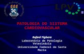 PATOLOGIA DO SISTEMA CARDIOVASCULAR Rafael Fighera Laboratório de Patologia Veterinária Universidade Federal de Santa Maria.
