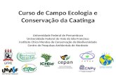 Curso de Campo Ecologia e Conservação da Caatinga Universidade Federal de Pernambuco Universidade Federal do Vale do São Francisco Instituto Chico Mendes.