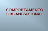 COMPORTAMENTO ORGANIZACIONAL. Níveis de atuação na Empresa Organização Grupo Indivíduo.