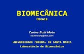 BIOMECÂNICAOssos Carlos Bolli Mota bollimota@gmail.com UNIVERSIDADE FEDERAL DE SANTA MARIA Laboratório de Biomecânica.
