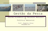1 Gestão da Pesca Gestão Econômica de Recursos Naturais e Política Ambiental Prof. Rogério César PRODEMA/UFC.