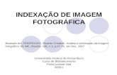 INDEXAÇÃO DE IMAGEM FOTOGRÁFICA Baseado em: RODRIGUES, Ricardo Crisafulli. Análise e temtização da imagem fotográfica. Ci. Inf., Brasília, v36, n.3, p.67-76,