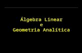 Álgebra Linear e Geometria Analítica. Engenharia Civil e Engenharia Topográfica.