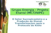 Grupo Energia/Projeto Etanol Grupo Energia - Projeto Etanol (MCT/NIPE) O Setor Sucroalcooleiro e a Produção de Etanol. Transformações após o Protocolo.