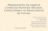 Mapeamento da espécie Corbicula fluminea (Bivalve, Corbiculidae) no Reservatório de Furnas. Ericson Sousa da Silva Fernanda Cristina Guilherme Marcele.