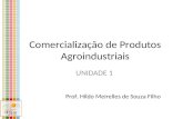 Comercialização de Produtos Agroindustriais UNIDADE 1 Prof. Hildo Meirelles de Souza Filho.