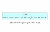 XAS ESPECTROSCOPIA DE ABSORÇÃO DE RAIOS-XX (X-ray absorção Spectroscopy)