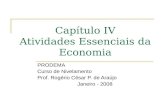 Capítulo IV Atividades Essenciais da Economia PRODEMA Curso de Nivelamento Prof. Rogério César P. de Araújo Janeiro - 2008.