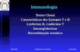 Imunologia 2001/2002Prof.Doutor José Cabeda Immunologia Teoria Clonal Características dos Epitopes T e B Linfócitos B, Linfócitos T Imunoglobulinas Recombinação.