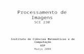 Processamento de Imagens SCE 230 Instituto de Ciências Matemáticas e de Computação USP Março 2008.