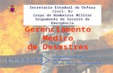 Gerenciamento Médico de Desastres Secretaria Estadual de Defesa Civil- RJ Corpo de Bombeiros Militar Grupamento de Socorro de Emergência.