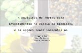 A Aquisição de Terras para investimentos na cadeia do biodiesel e as opções reais inerentes ao projeto IAG, PUC-Rio 2007 Marcos Leite Vania Cezimbra.