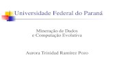 Universidade Federal do Paraná Mineração de Dados e Computação Evolutiva Aurora Trinidad Ramírez Pozo.