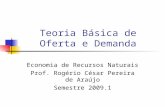 Teoria Básica de Oferta e Demanda Economia de Recursos Naturais Prof. Rogério César Pereira de Araújo Semestre 2009.1.