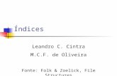 Índices Leandro C. Cintra M.C.F. de Oliveira Fonte: Folk & Zoelick, File Structures.