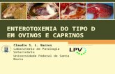 ENTEROTOXEMIA DO TIPO D EM OVINOS E CAPRINOS Claudio S. L. Barros Laboratório de Patologia Veterinária Universidade Federal de Santa Maria.